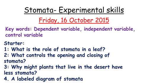 Stomata ISA practice investigation