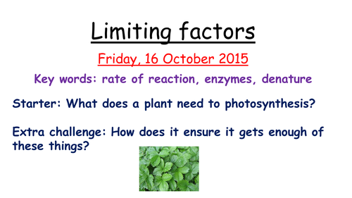 Limiting factors in photosynthesis