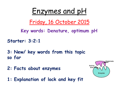 Enzymes and pH