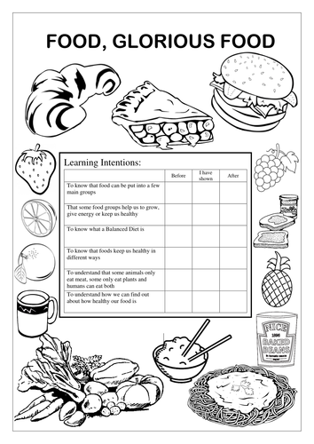 Food & Nutrition Year 3