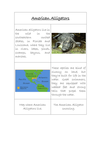 Jigsaw -features of a report