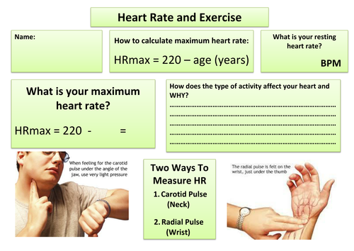 Health Related Exercise Worksheet