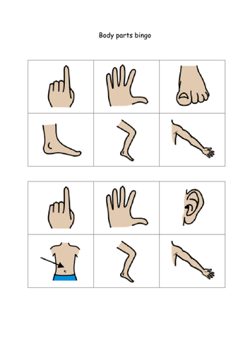 Body Parts Bingo By ShiningMimi Teaching Resources Tes
