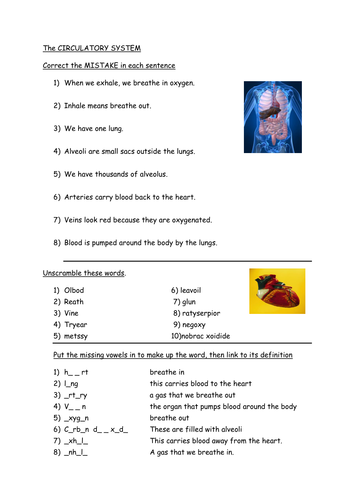 The Circulatory System