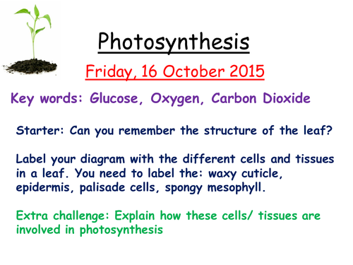 Intro to photosynthesis AQA B2