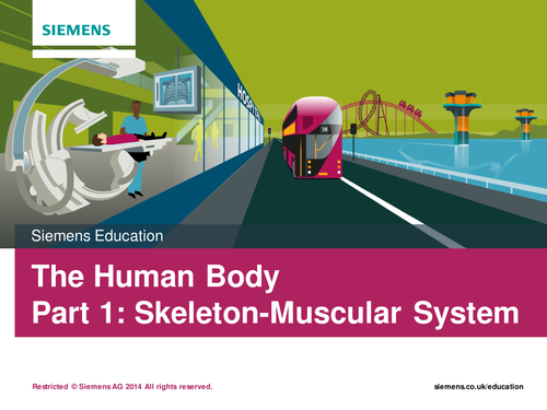 Inactive - Siemens KS2 Activity 'The Human Body'