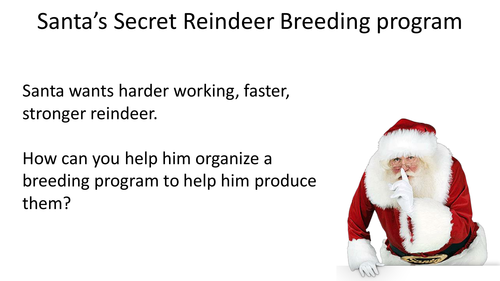 Christmas Inheritance