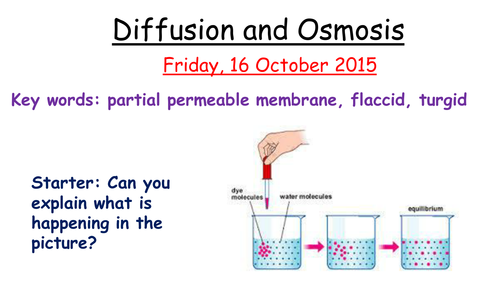 Osmosis AQA B3