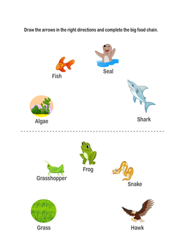 blank food chain