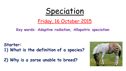 Allopatric speciation
