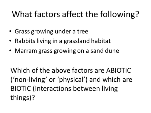 Random Quadrat Sampling - in theory