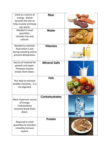 Digestion Cut and Stick | Teaching Resources