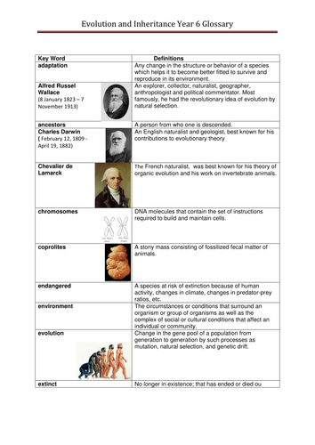 evolution and inheritance year 6 glossary teaching resources