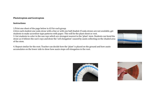 Phototropism and Geotropism