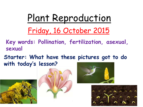 Plant reproduction