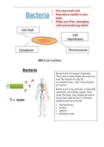 What are pathogens?