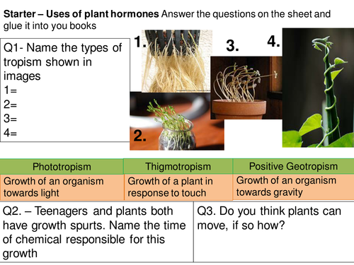 Uses of Plant Hormones Full Lesson