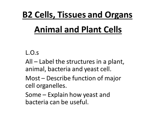 Cells Tissues and organs