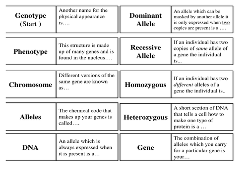 Genetics Terms Loop Cards