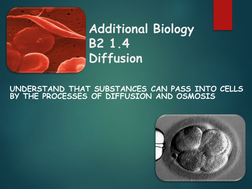 AQA B2 1.4 Diffusion
