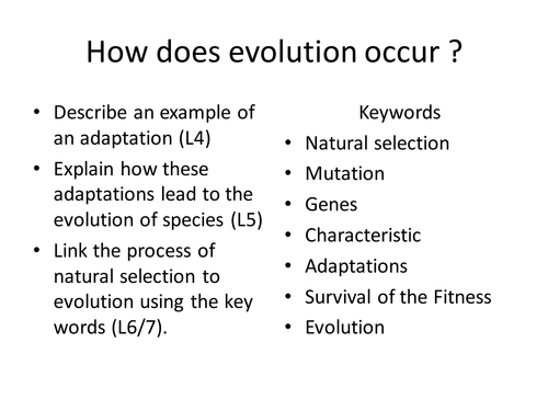 Natural Selection Activity by - UK Teaching Resources - TES