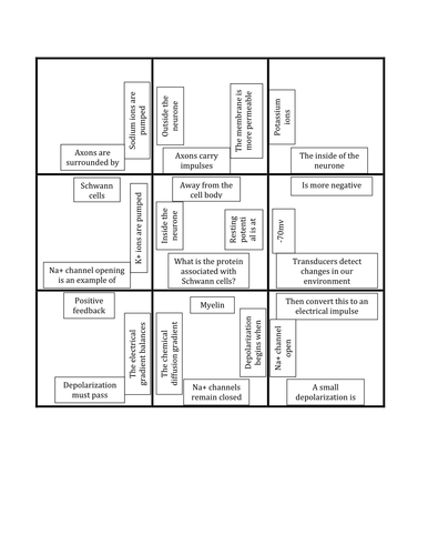 Action Potential Tarsia | Teaching Resources