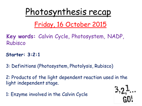 Photosynthesis Review task