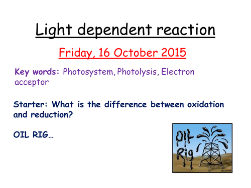 Light dependent reaction