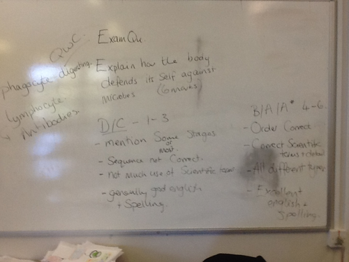 Immune system - new style 6 mark qu for higher