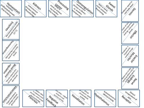 Homeostasis Card Sort (Loop Frame)