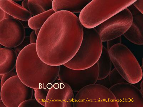 Blood B2 Topic 3