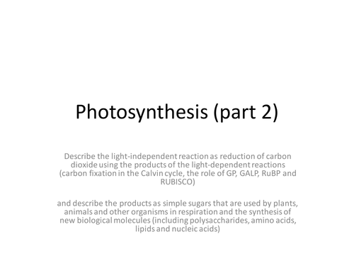 light-independent-reaction-teaching-resources