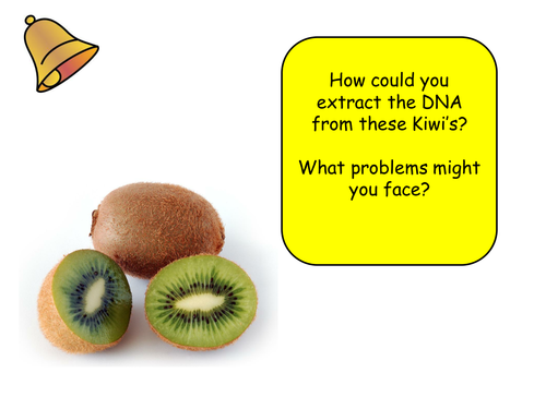 Extracting DNA (B2 Edexcel)