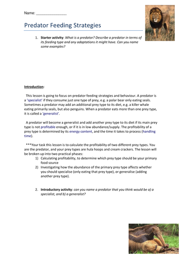 Optimal Foraging / Predator Feeding Strategies