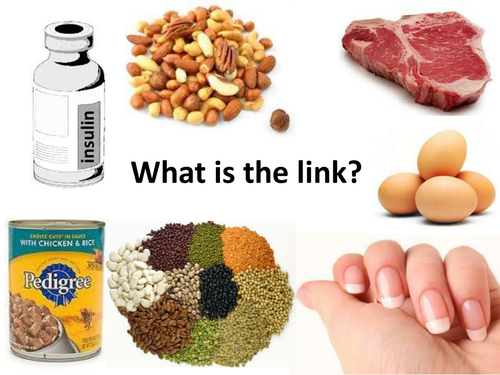 OCR Gateway Science B3 Protein Ribosomes Teaching Resources