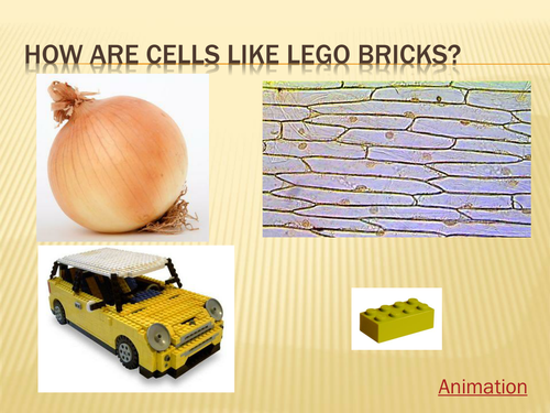 Cells