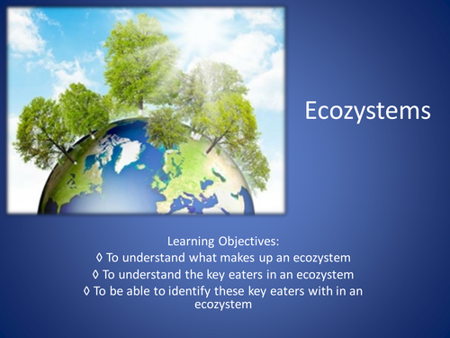 Introduction To Ecosystems