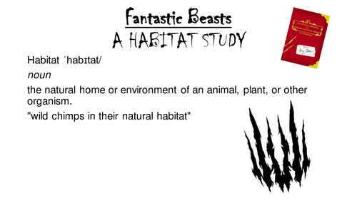 Harry Potter Fantastic Beasts - A Habitat Study