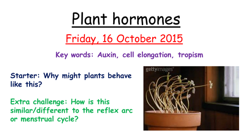 AQA B1 Plant hormones
