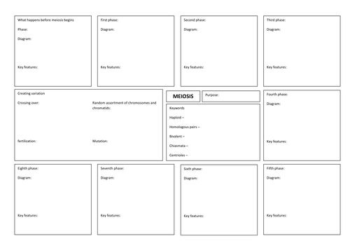 Meiosis A3 revision sheet
