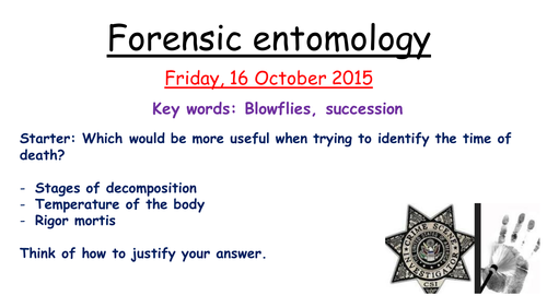 Edexcel forensic entomology