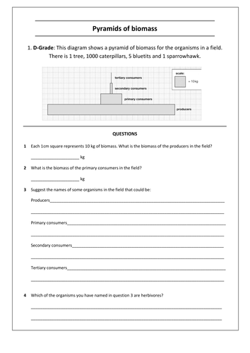 AQA-B1-5-Energy in biomass