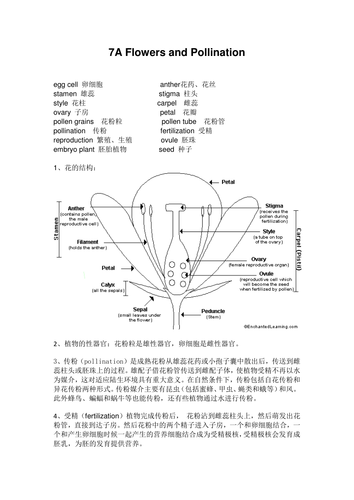 Science Keywords with Chinese Translations