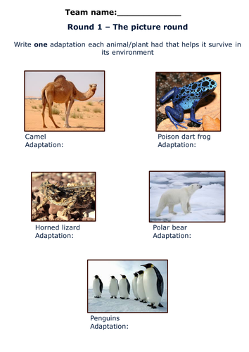 AQA-B1-Revision quiz