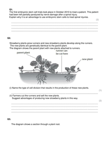 B2 Edexcel Mitosis v meiosis exam technique | Teaching Resources