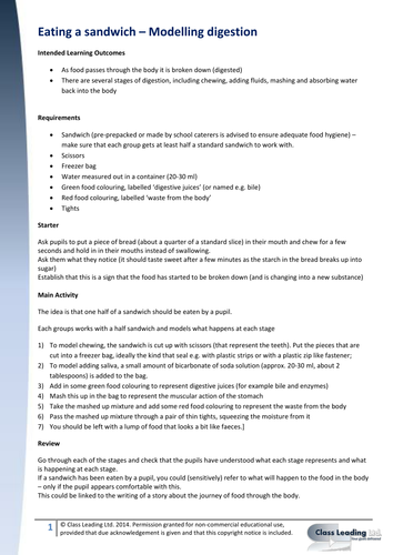 Eating a sandwich - modeling digestion