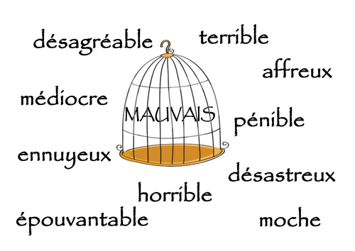 French synonyms