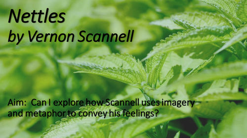 Nettles by Scannell (Revision or 1st look)