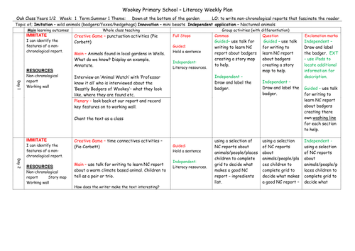 Non-Chronological Reports - nocturnal animals | Teaching Resources