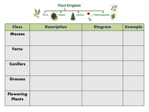 Plant Classification and Habitats